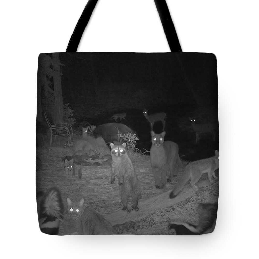 Composite Tote Bag featuring the photograph Trail Cam Composite 2 by Randy Robbins