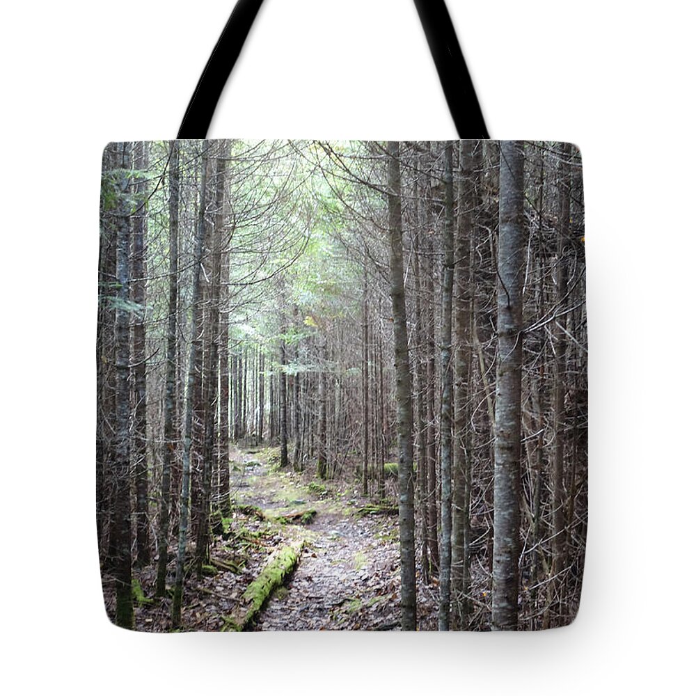 Maine Tote Bag featuring the photograph Trail in Northern Maine Woods by Russ Considine