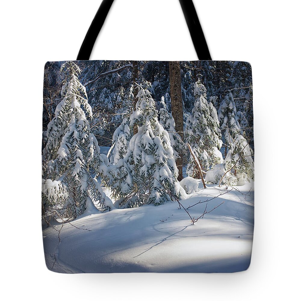 New Hampshire Tote Bag featuring the photograph Trailside Light by Jeff Sinon