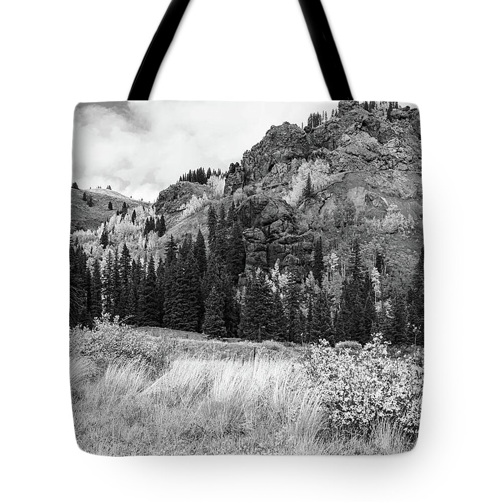 Foliage Tote Bag featuring the photograph Train Switchback Black and White by Steve Templeton
