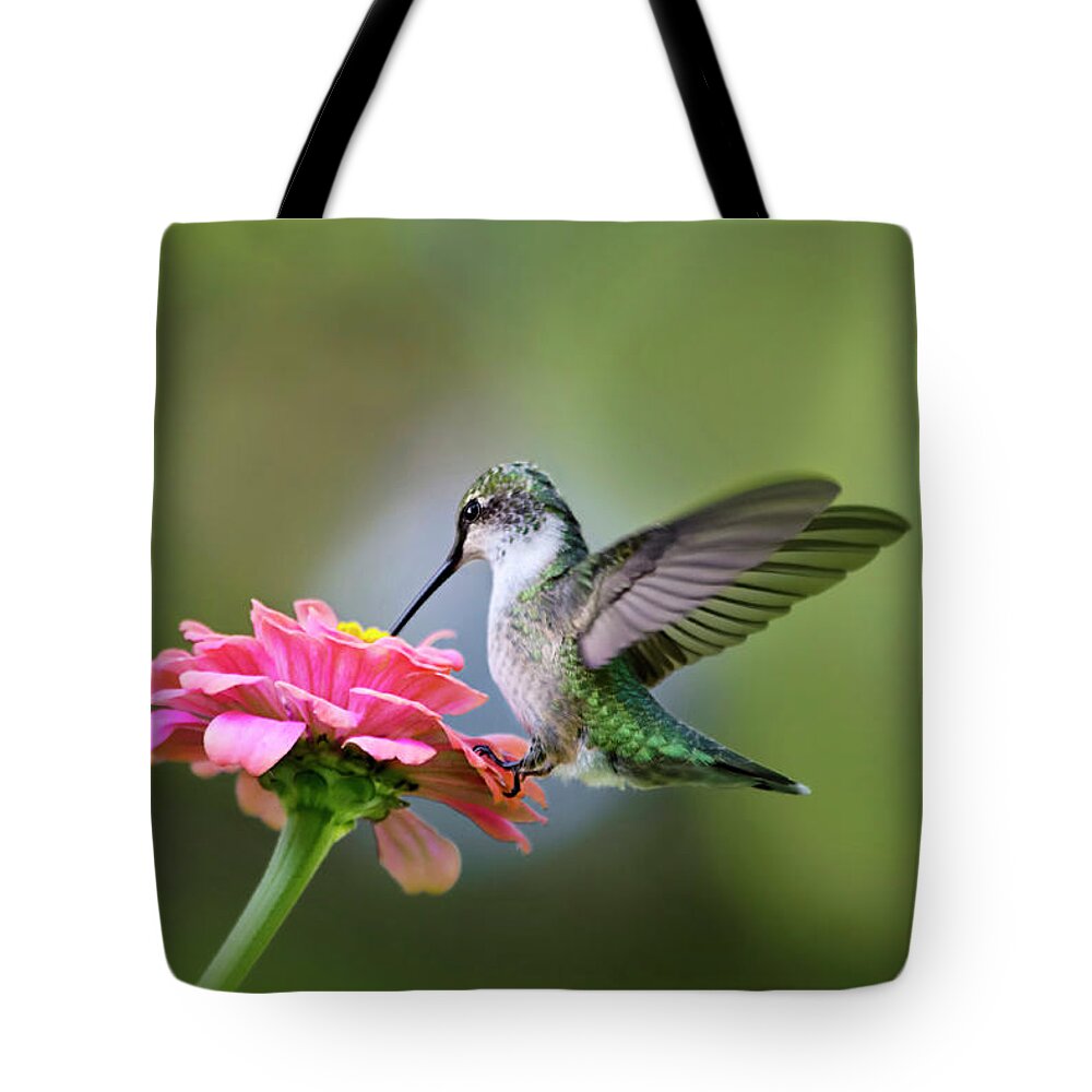 Hummingbird Tote Bag featuring the photograph Tranquil Joy by Christina Rollo