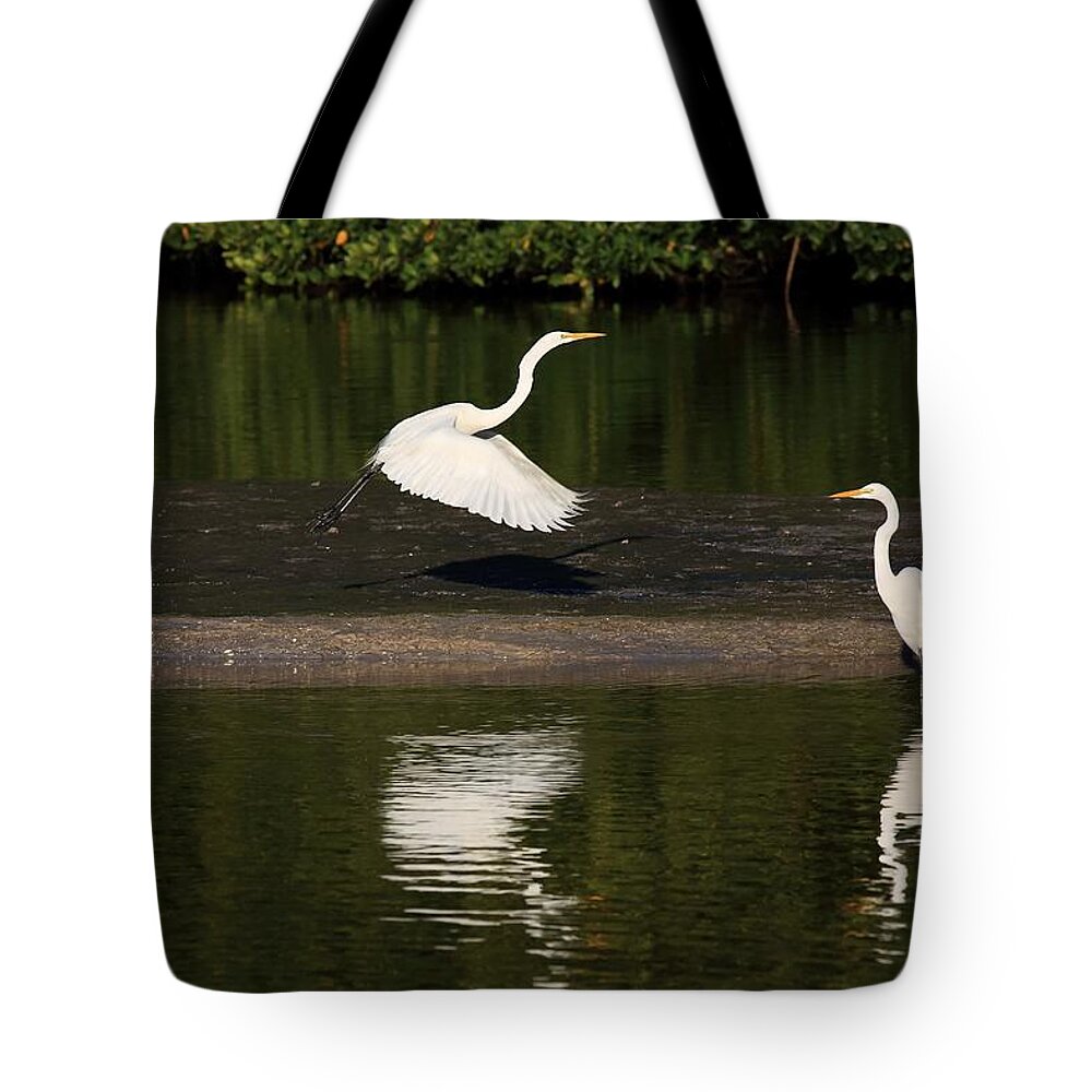 Great Egret Tote Bag featuring the photograph Tranquil Scenery 1 by Mingming Jiang
