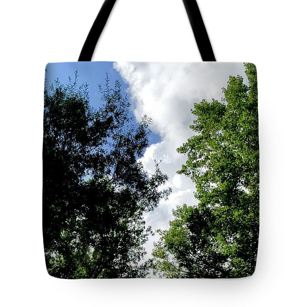 Meditation Tote Bag featuring the photograph Tranquility 1 by J Hale Turner