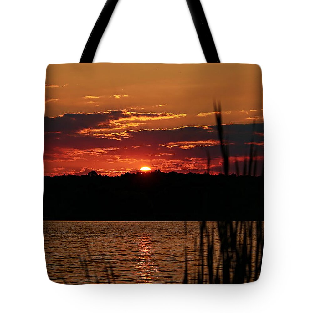 Peacful Tote Bag featuring the photograph Tranquility by Mary Walchuck