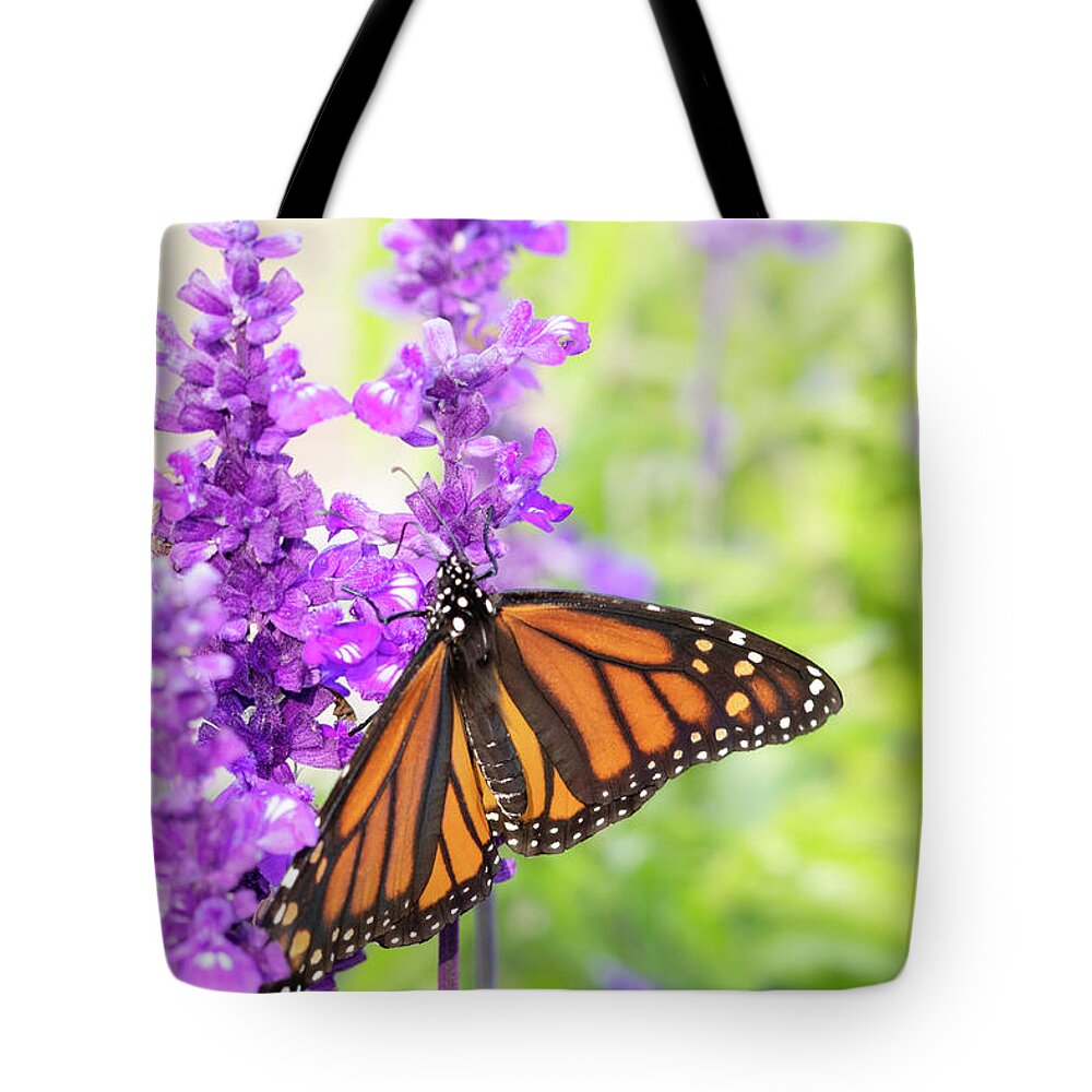 Transformation Tote Bag featuring the photograph Transformation by Patty Colabuono