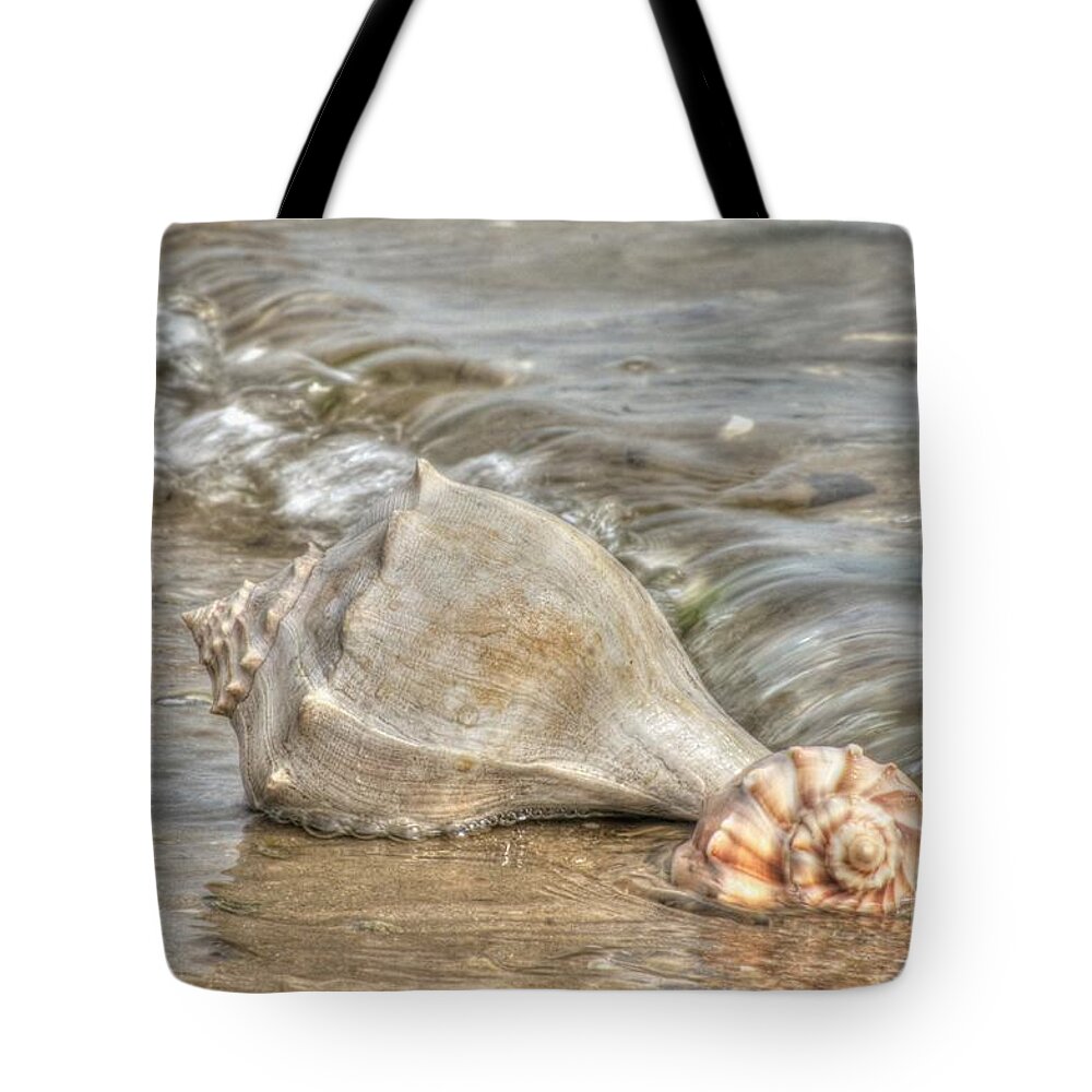 Emerald Isle North Carolina Tote Bag featuring the photograph Treasures Found by Benanne Stiens