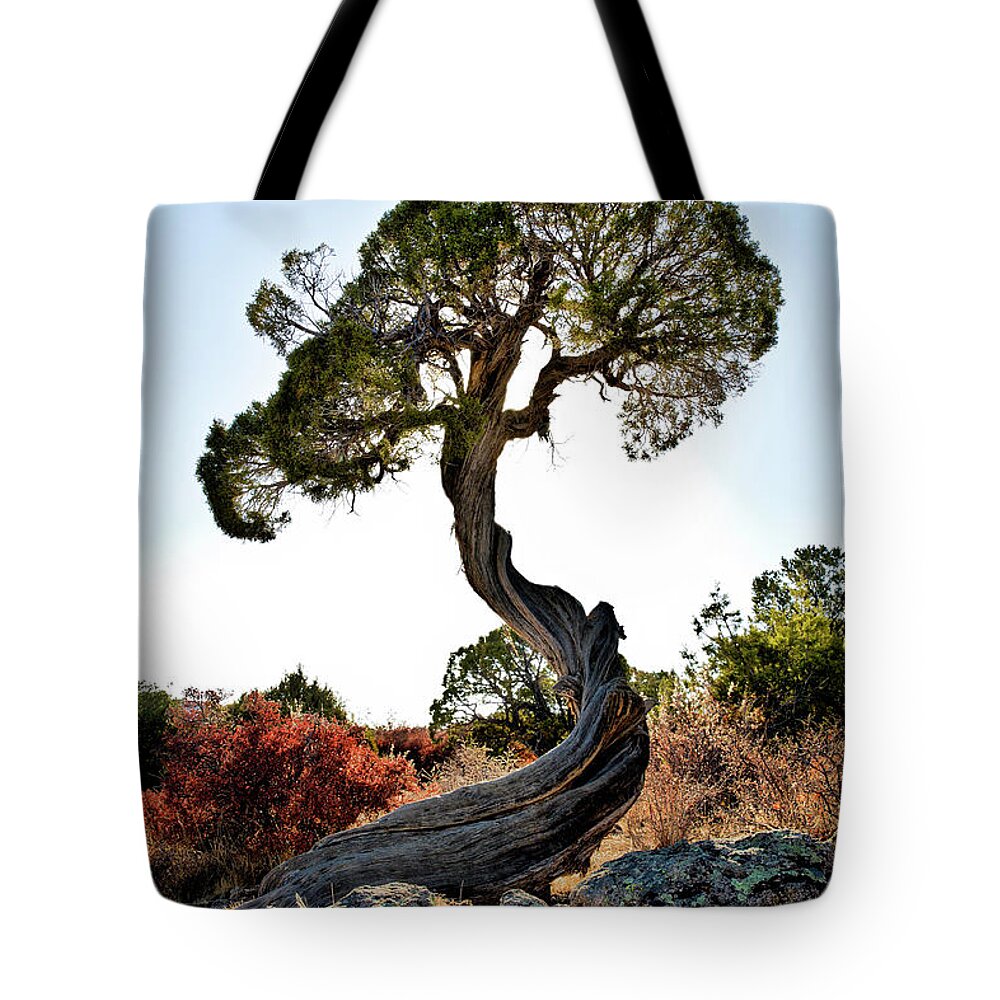 Tree Tote Bag featuring the photograph Tree At Black Canyon by Robert Woodward