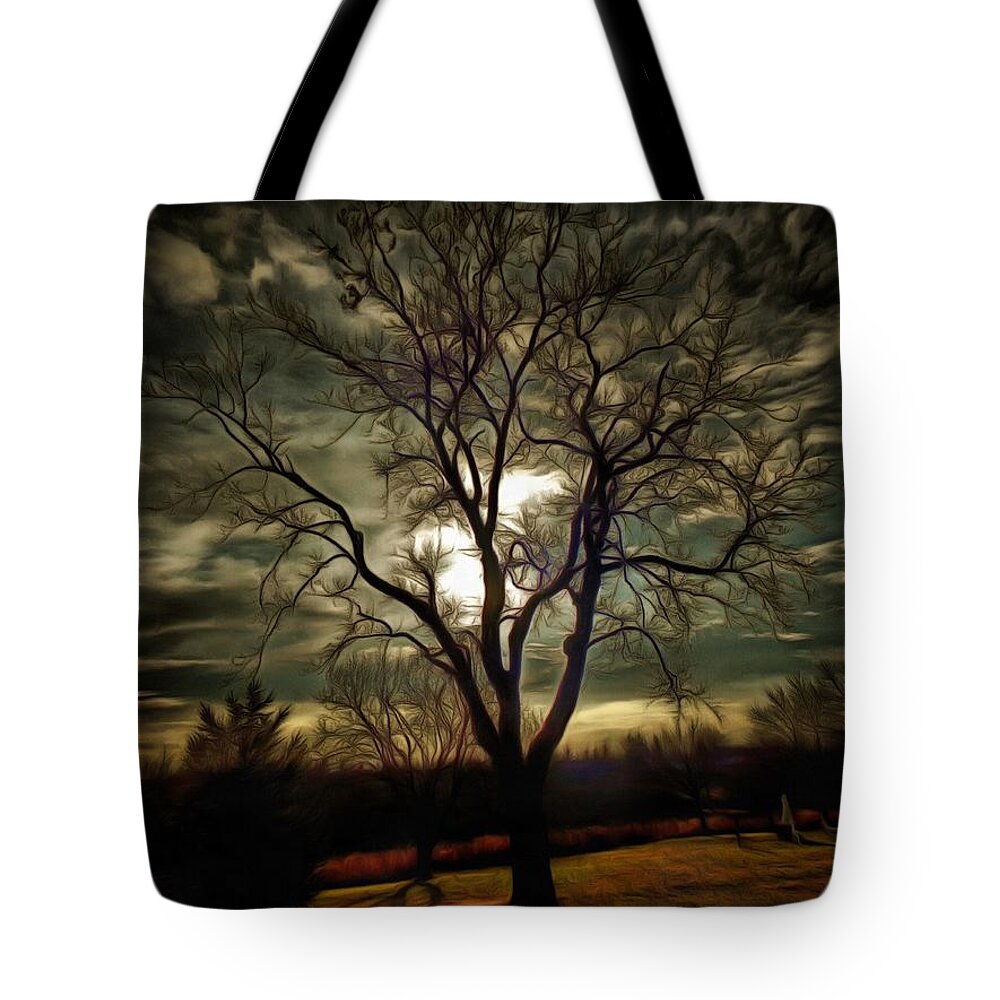 Tree Tote Bag featuring the photograph Tree at Sunset by Christopher Reed