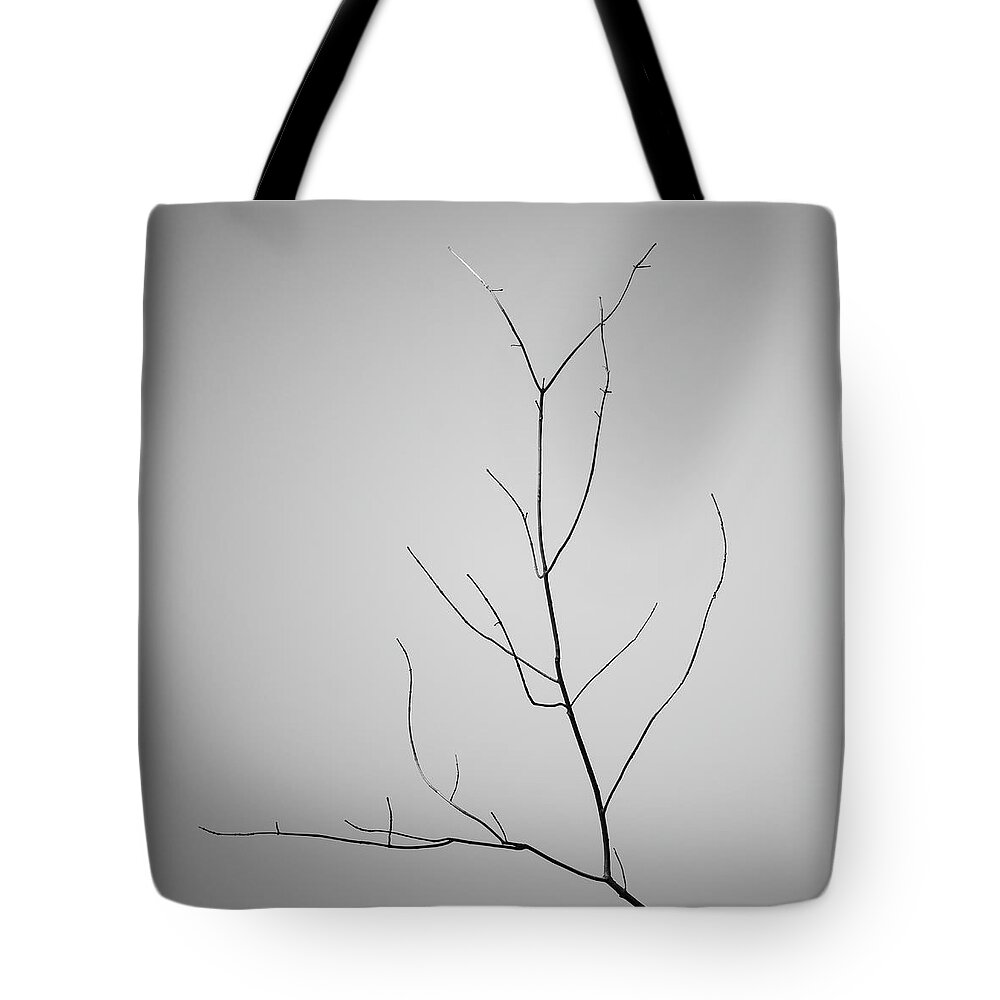 Abstract Tote Bag featuring the photograph Tree Branches IV BW by David Gordon