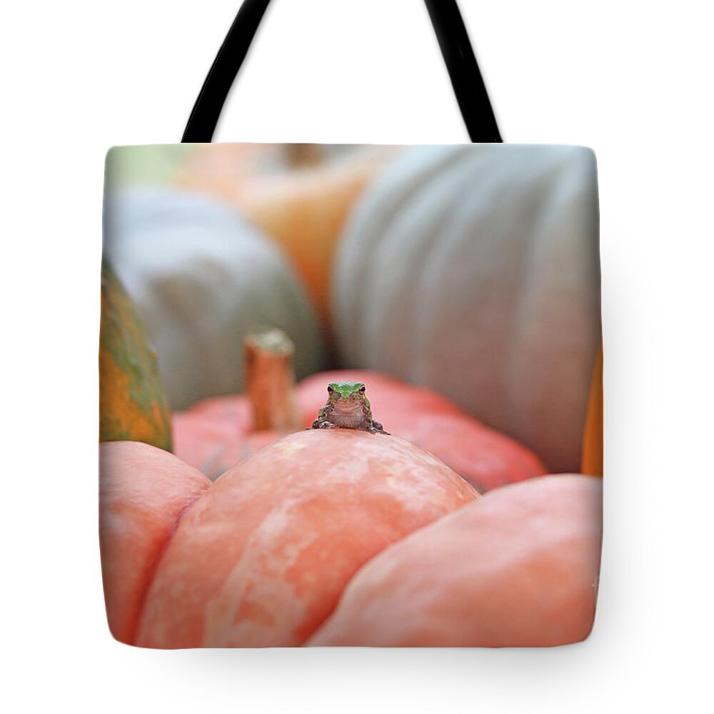 Tree Frog Tote Bag featuring the photograph Tree Frog 4260 by Jack Schultz