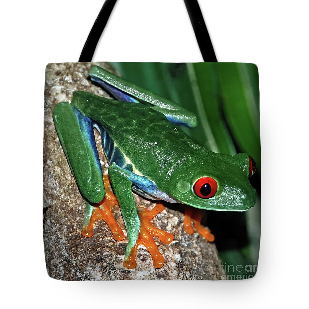 Wildlife Tote Bag featuring the photograph Tree Frog by Tom Watkins PVminer pixs