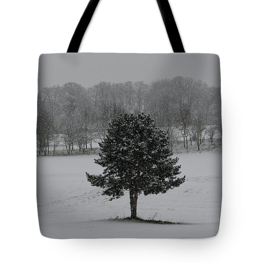 Herts Tote Bag featuring the photograph Tree in the snow by Andrew Lalchan