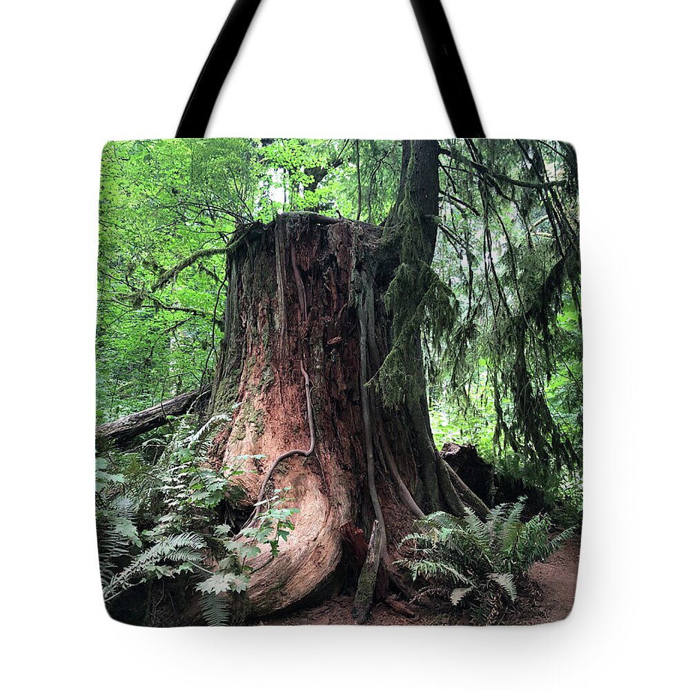 Tree Tote Bag featuring the photograph Tree Life by Grey Coopre