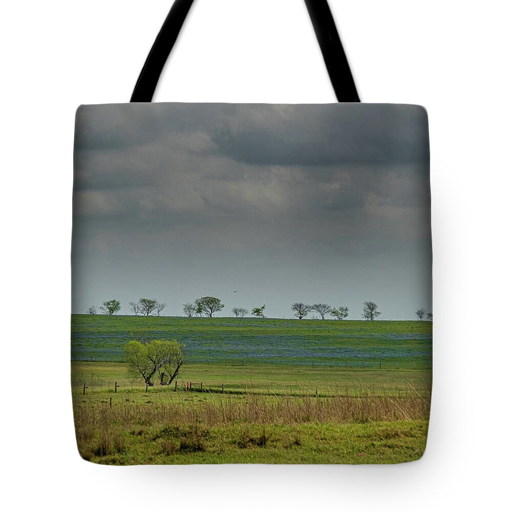 Exas Bluebonnets Tote Bag featuring the photograph Tree Line Blues by Johnny Boyd