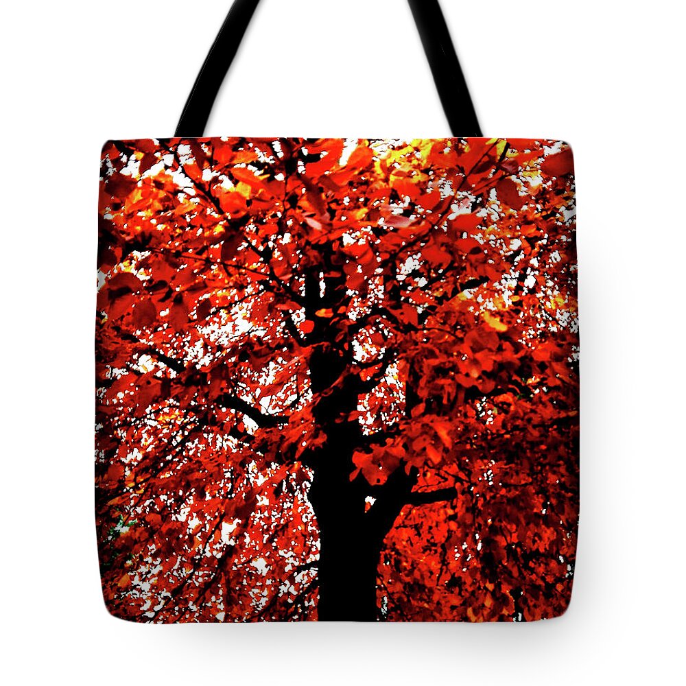Tree Tote Bag featuring the photograph Tree of Flames by Mimulux Patricia No
