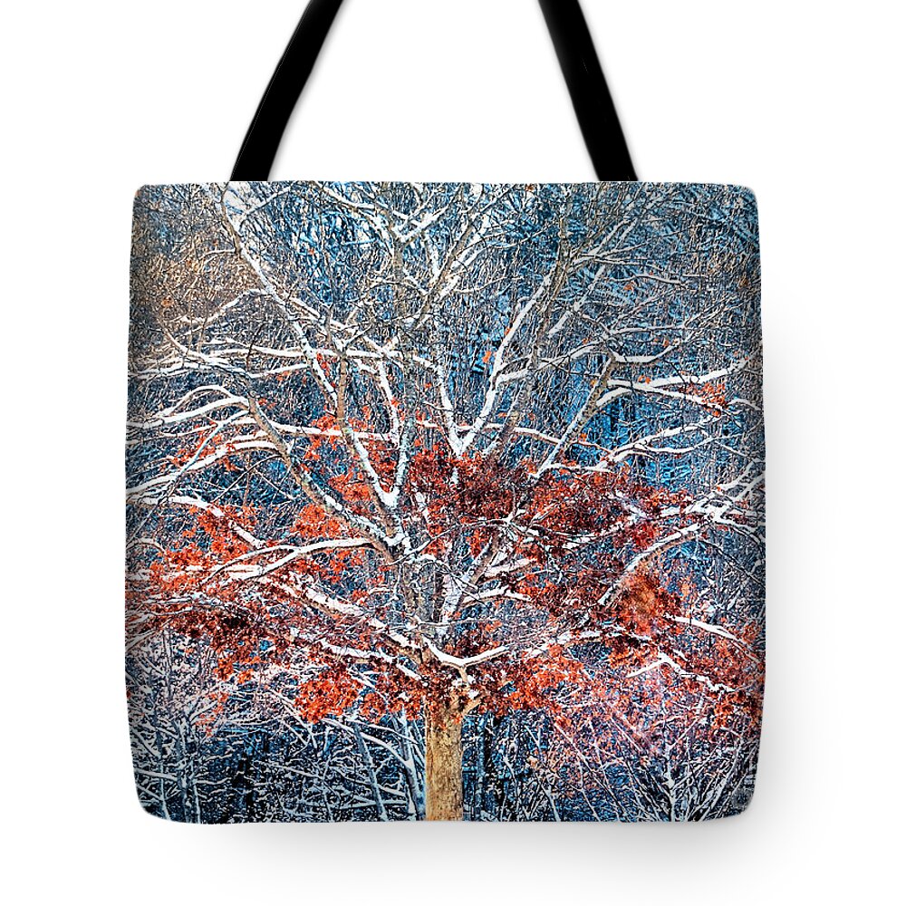 Tree Tote Bag featuring the photograph Tree of Two Seasons by Janice Drew
