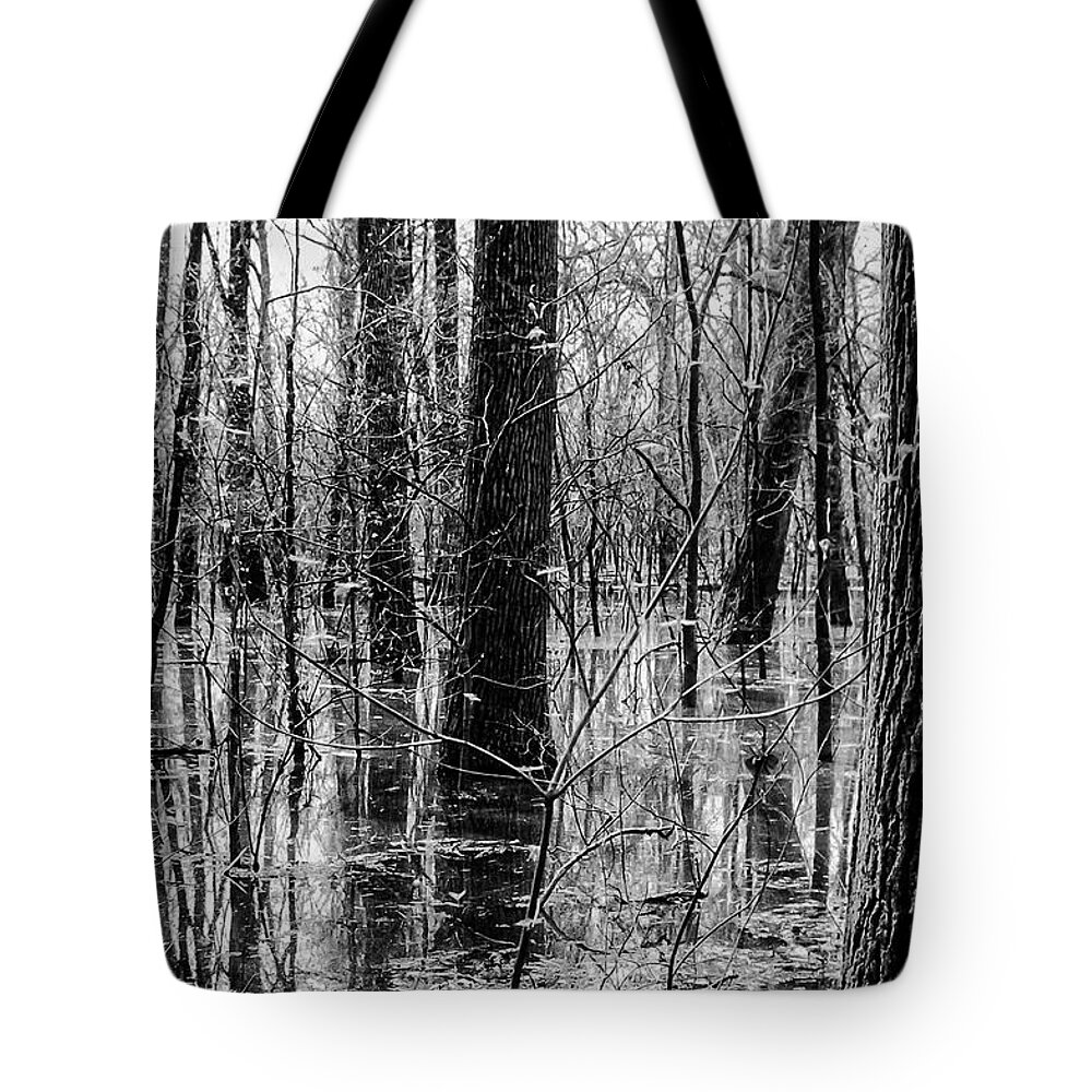 Big Oak Tree State Park Tote Bag featuring the photograph Tree Reflections at Big Oak Tree State Park One 2 by Bob Phillips