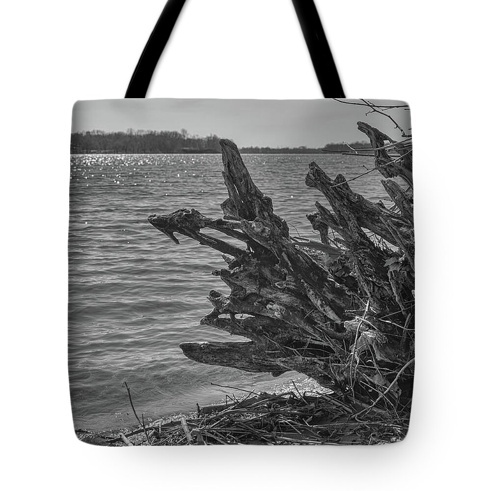 Tree Tote Bag featuring the photograph Tree roots along the River by Alan Goldberg