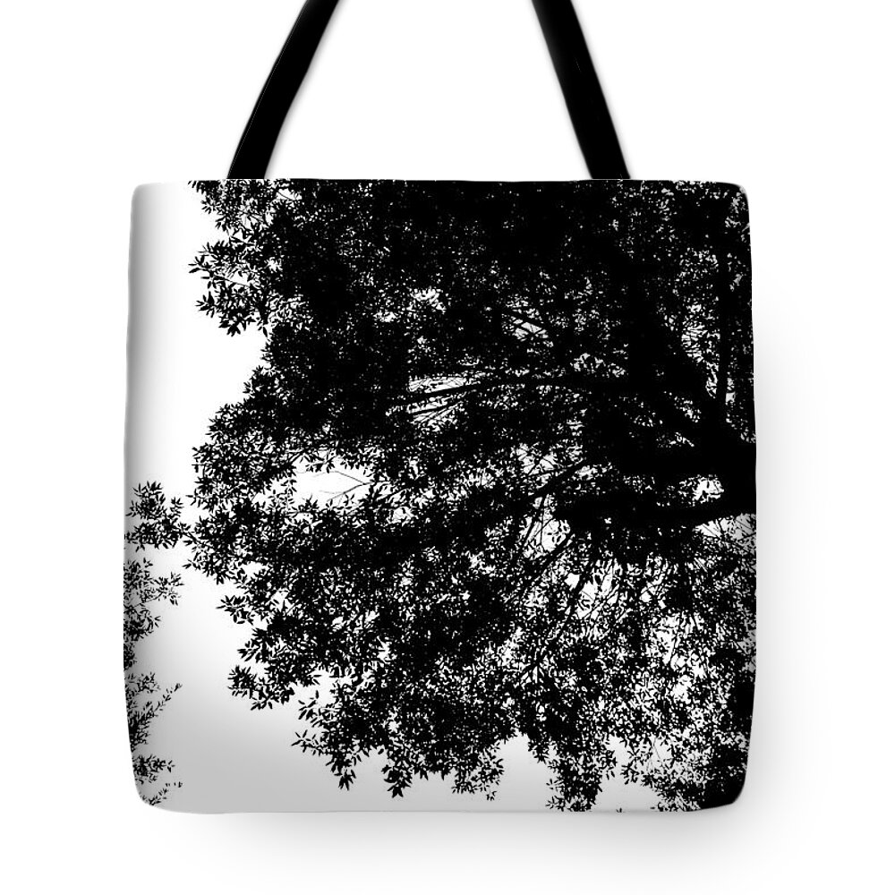 Tree Tote Bag featuring the photograph Tree silhouette by Fabiano Di Paolo
