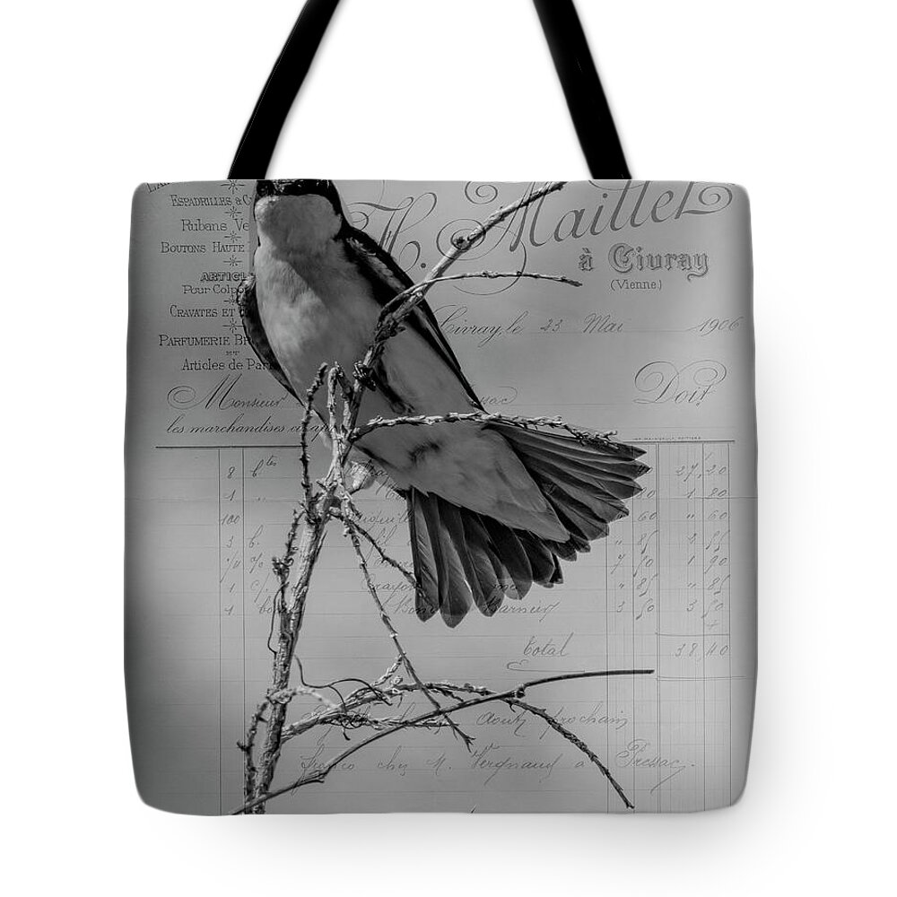 Bird Tote Bag featuring the photograph Tree Swallow by Cathy Kovarik