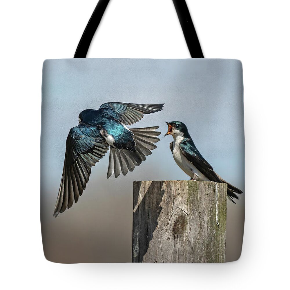 Bird Tote Bag featuring the photograph Tree Swallows 1 by Cindy Lark Hartman
