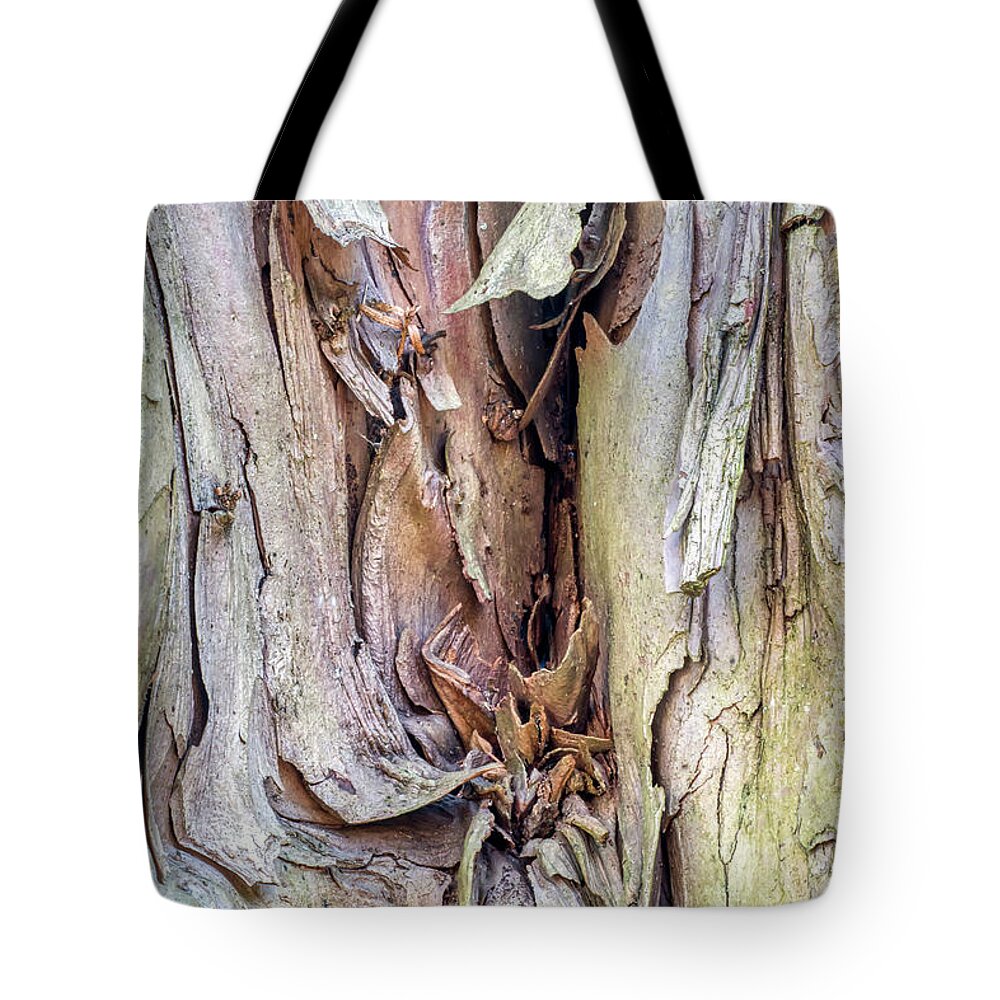 Tree Tote Bag featuring the photograph Tree Trunk Abstract by Gary Slawsky