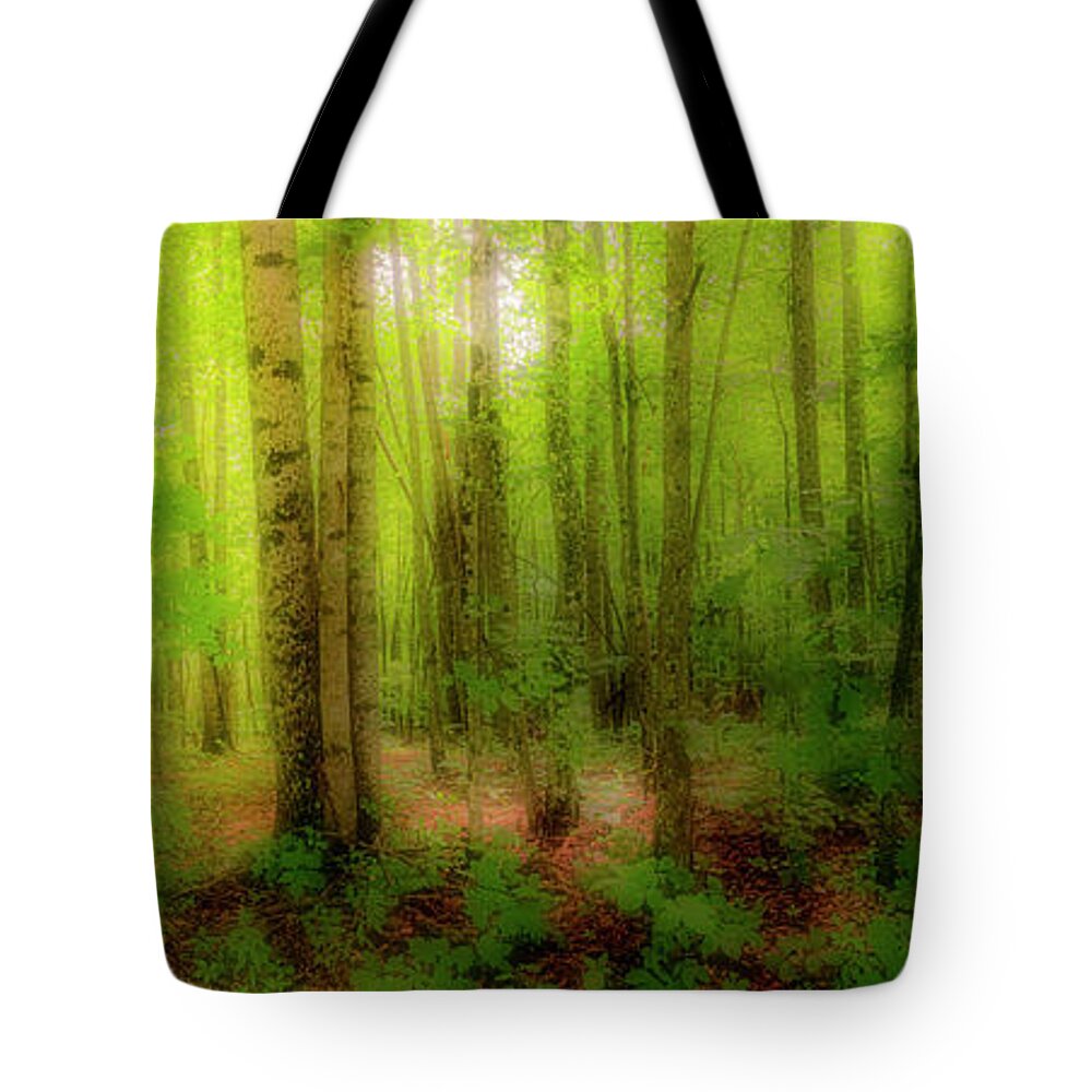Mountains Tote Bag featuring the photograph Tree Trunks in the Forest fx 920 by Dan Carmichael