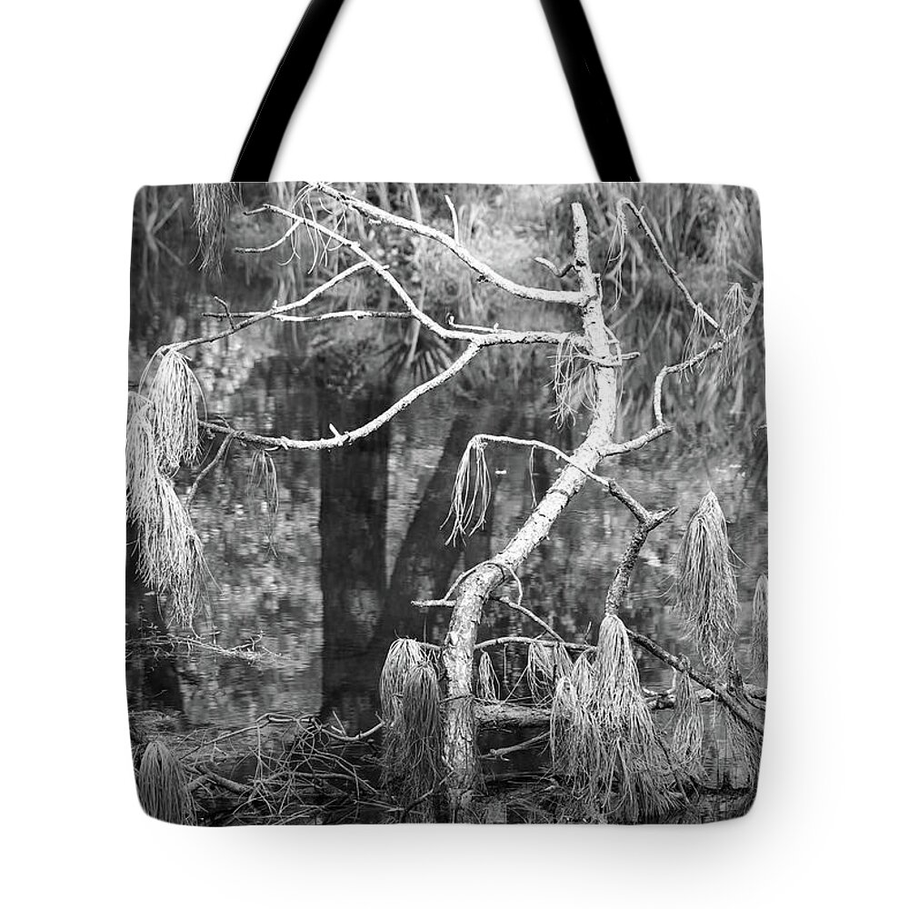 Bayou Tote Bag featuring the photograph Tree Undefined by Mary Anne Delgado