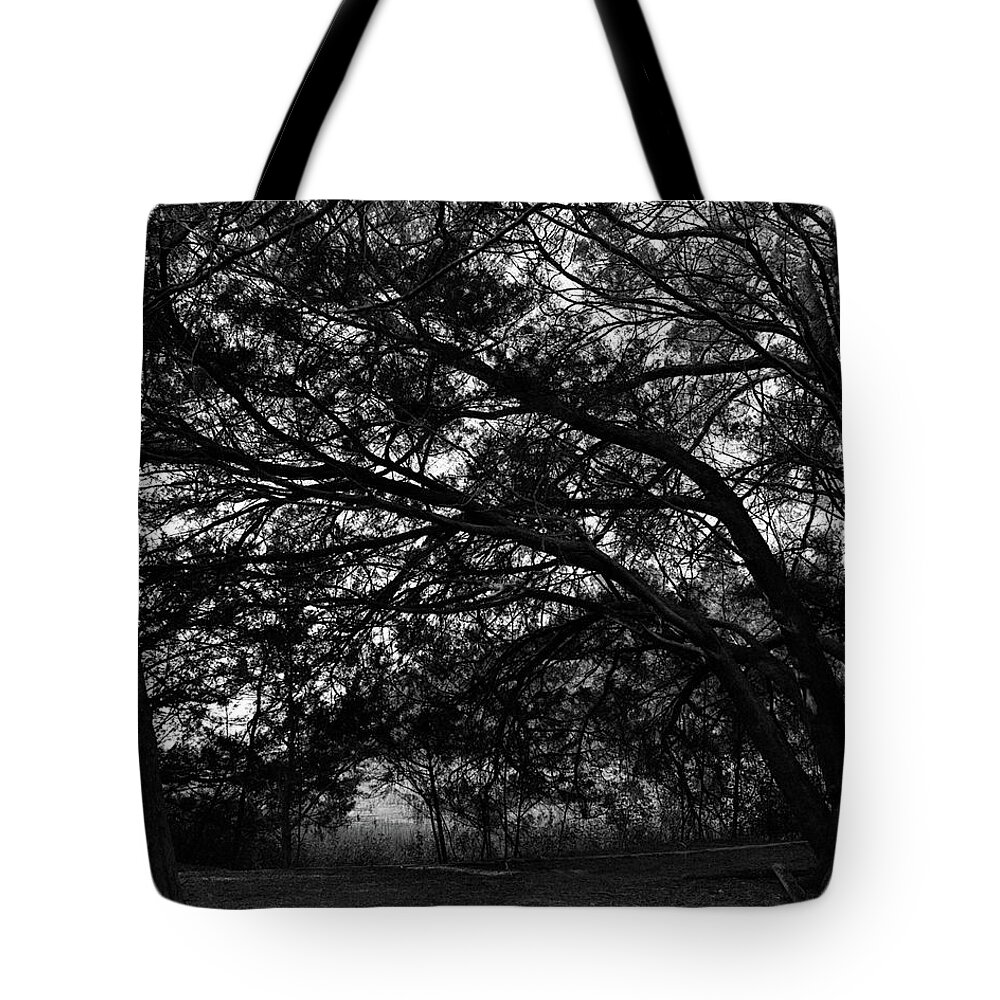 Georgia Tote Bag featuring the photograph Trees, Hammock, Marshes of Glynn by John Simmons