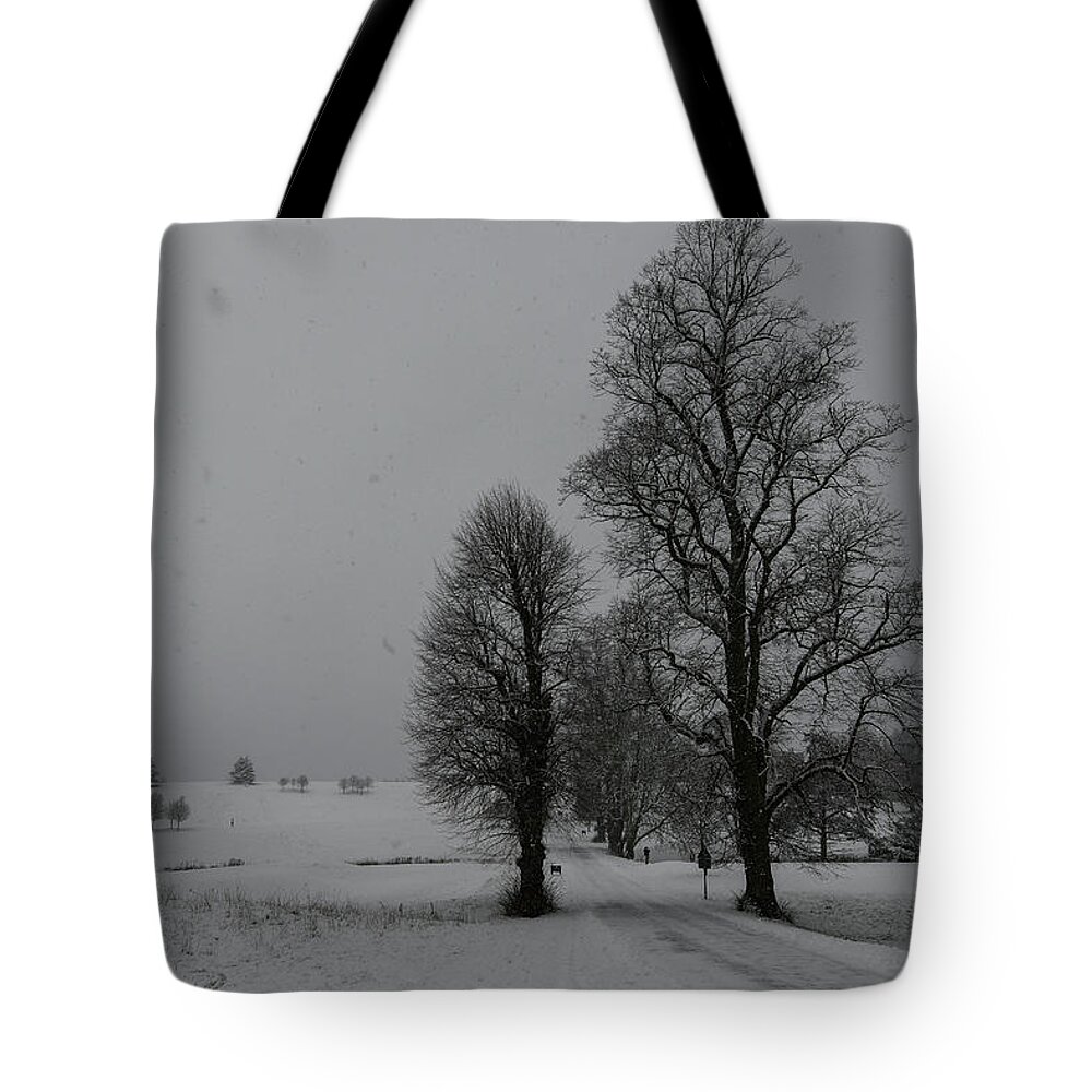 Herts Tote Bag featuring the photograph Trees in a snow storm by Andrew Lalchan