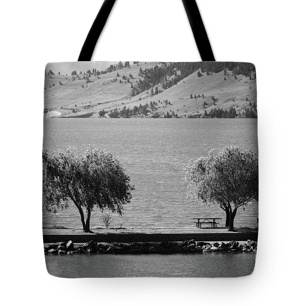 Nature Tote Bag featuring the photograph Trees on the Pier by Kae Cheatham
