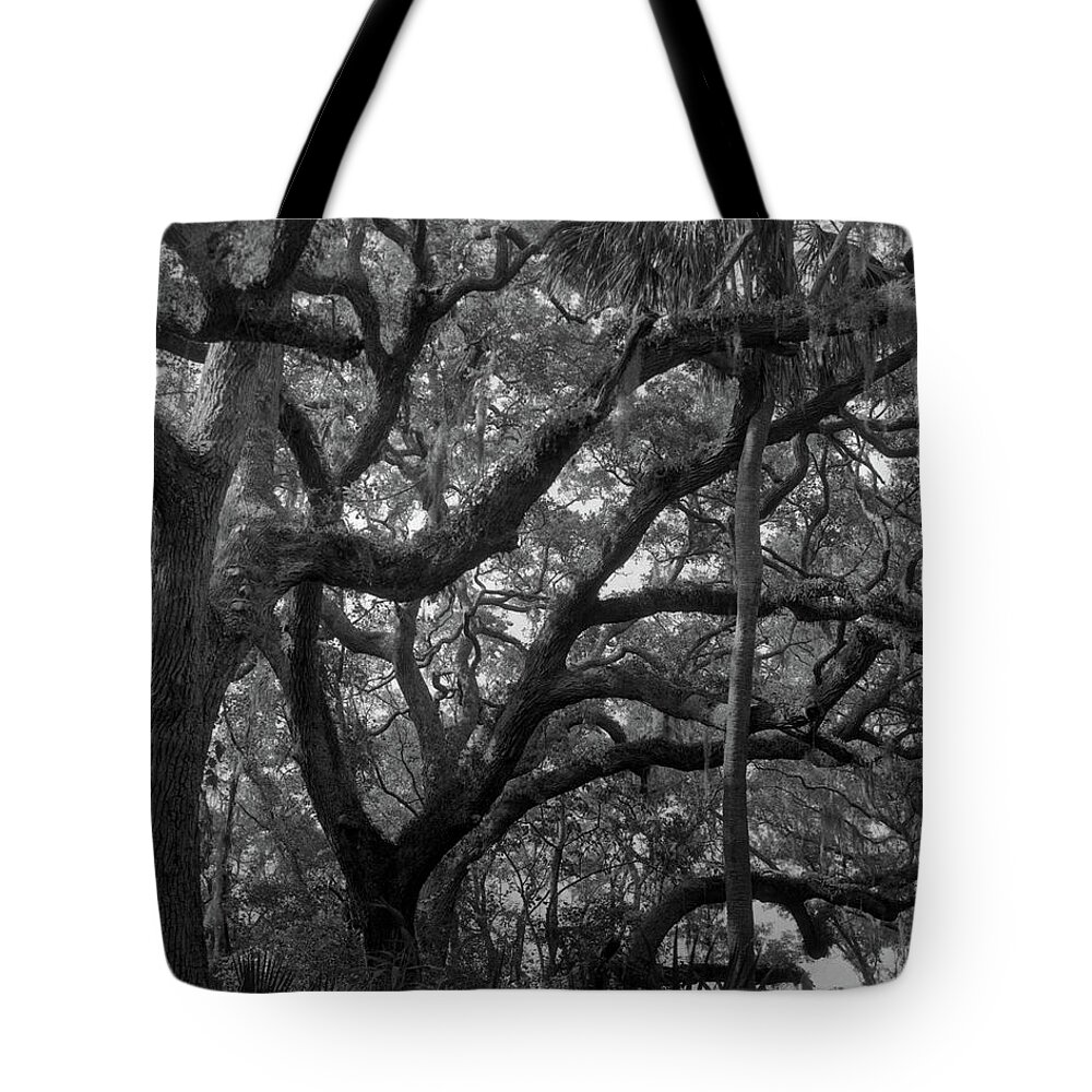 Horizontal Tote Bag featuring the photograph Trees, Tide Views Preserve, 2006 by John Simmons