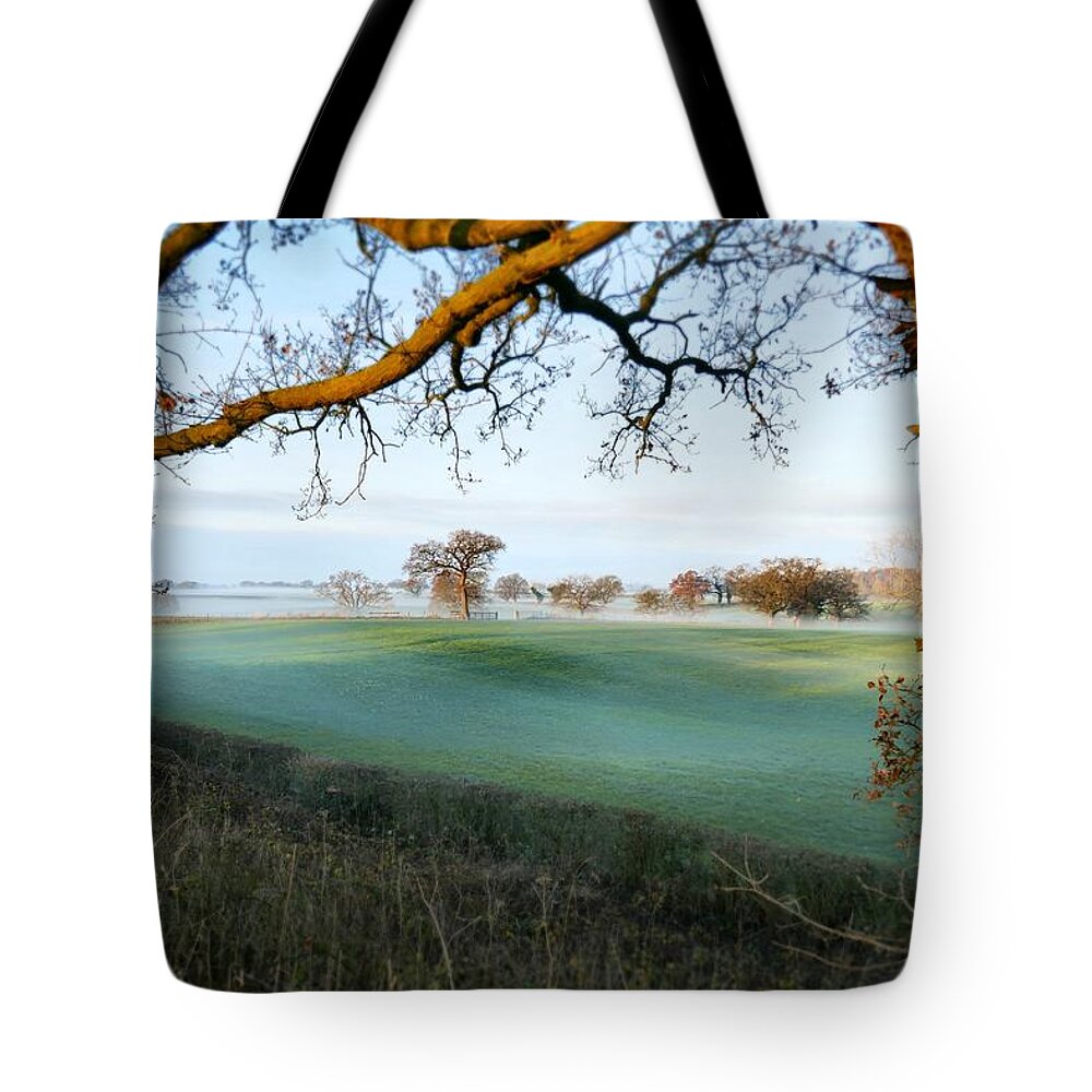 Trees Tote Bag featuring the photograph Trees Twenty by Ian Hutson
