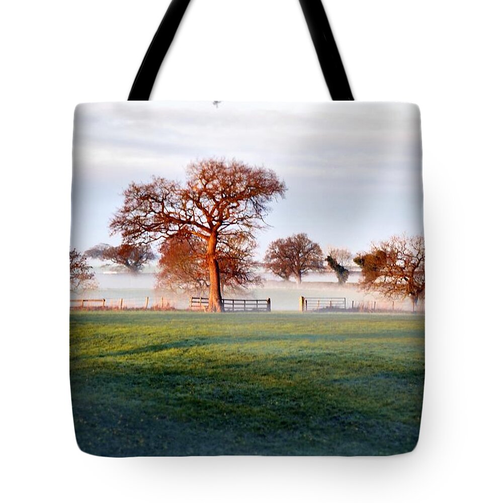 Trees Tote Bag featuring the photograph Trees Twenty-One by Ian Hutson