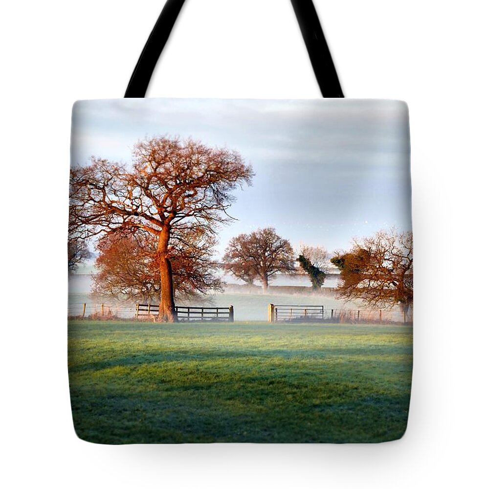 Trees Tote Bag featuring the photograph Trees Twenty-Two by Ian Hutson