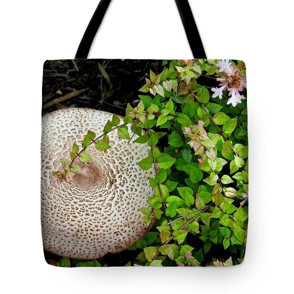 Toadstool Tote Bag featuring the photograph Tremendous Toadstool by Kathy Ozzard Chism