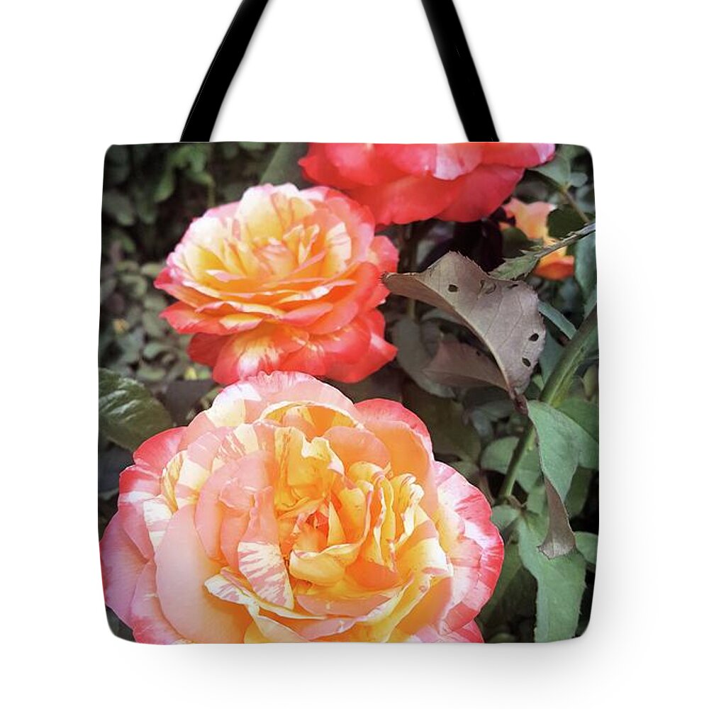 Flowers Tote Bag featuring the photograph Trifecta Rose by Pour Your heART Out Artworks