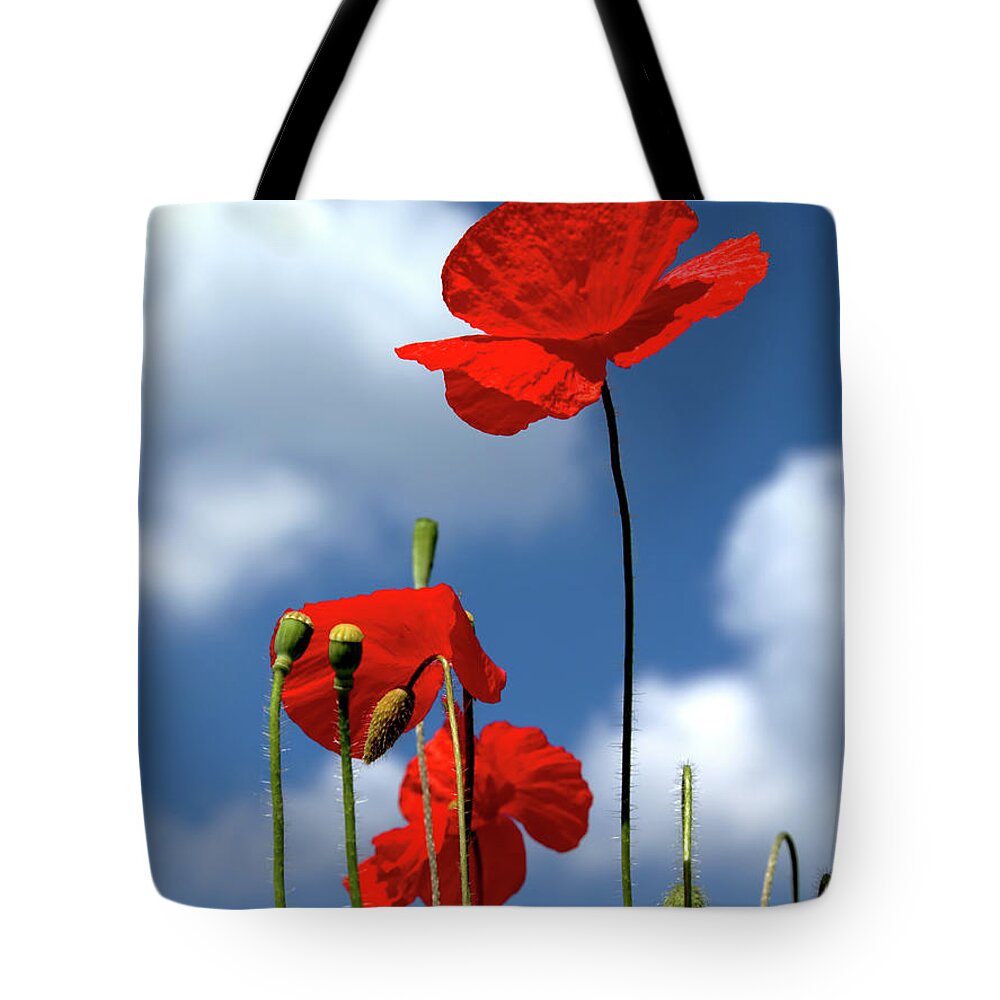 Poppies Tote Bag featuring the photograph Triple Poppy Sky by Stephen Melia