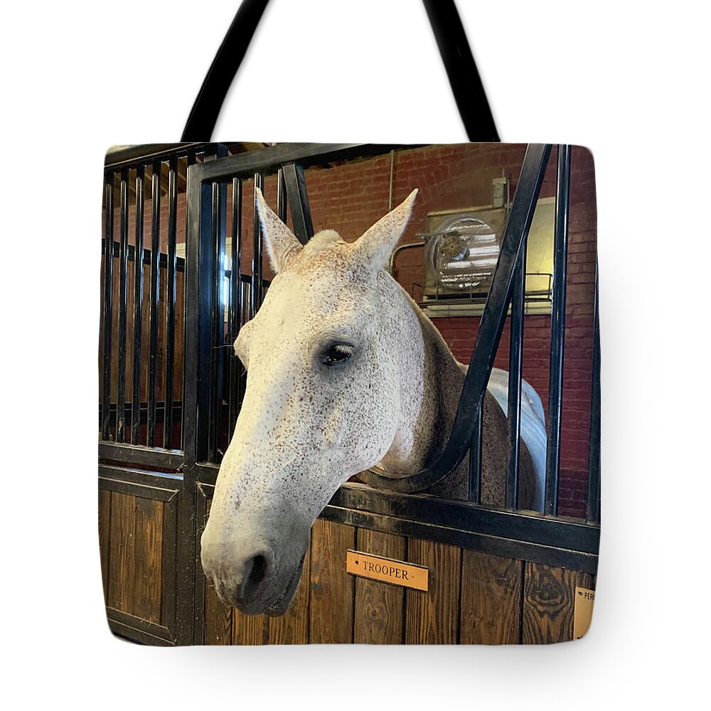 Animals Tote Bag featuring the photograph Trooper by Lora J Wilson