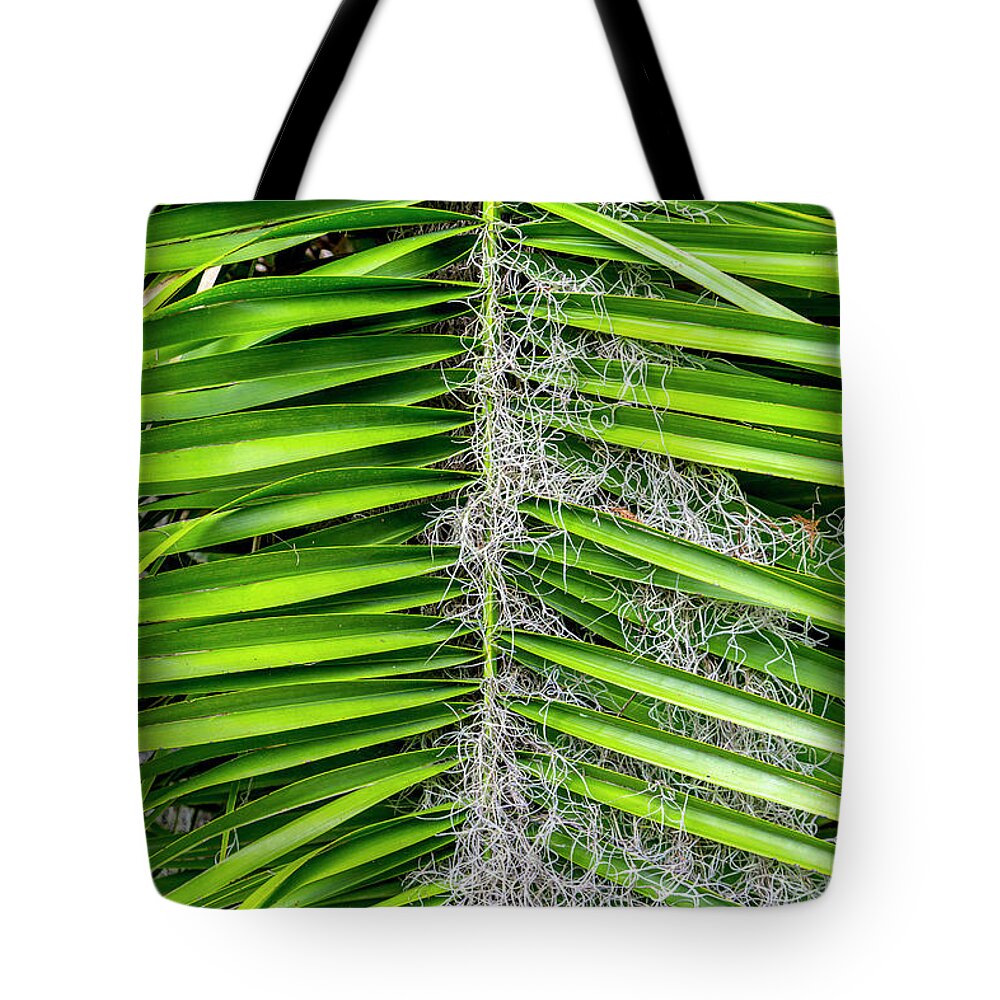 Palm Tote Bag featuring the photograph Tropical Gray and Green by W Chris Fooshee