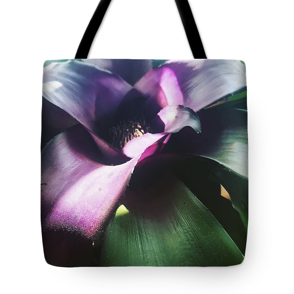  Tote Bag featuring the photograph Tropical by Michelle Hoffmann