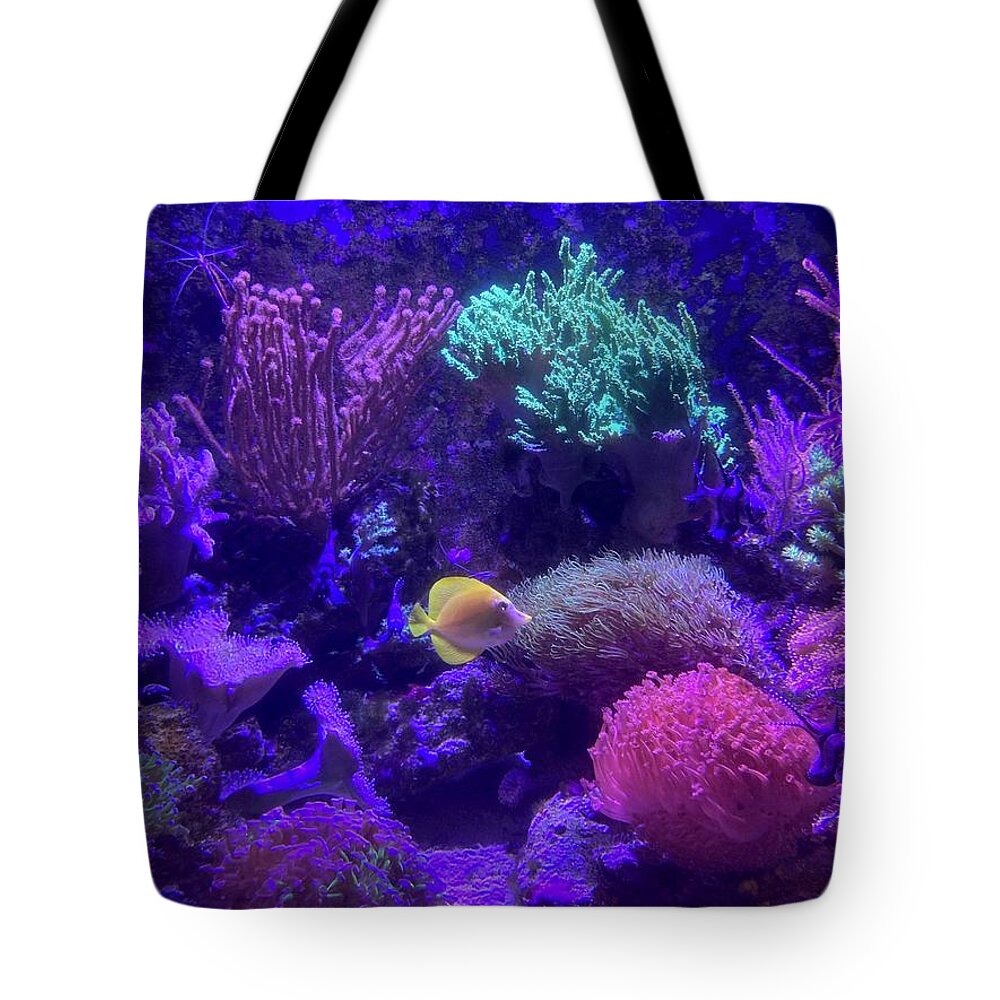 Tropical Tote Bag featuring the photograph Tropical Tank by Barbara Von Pagel