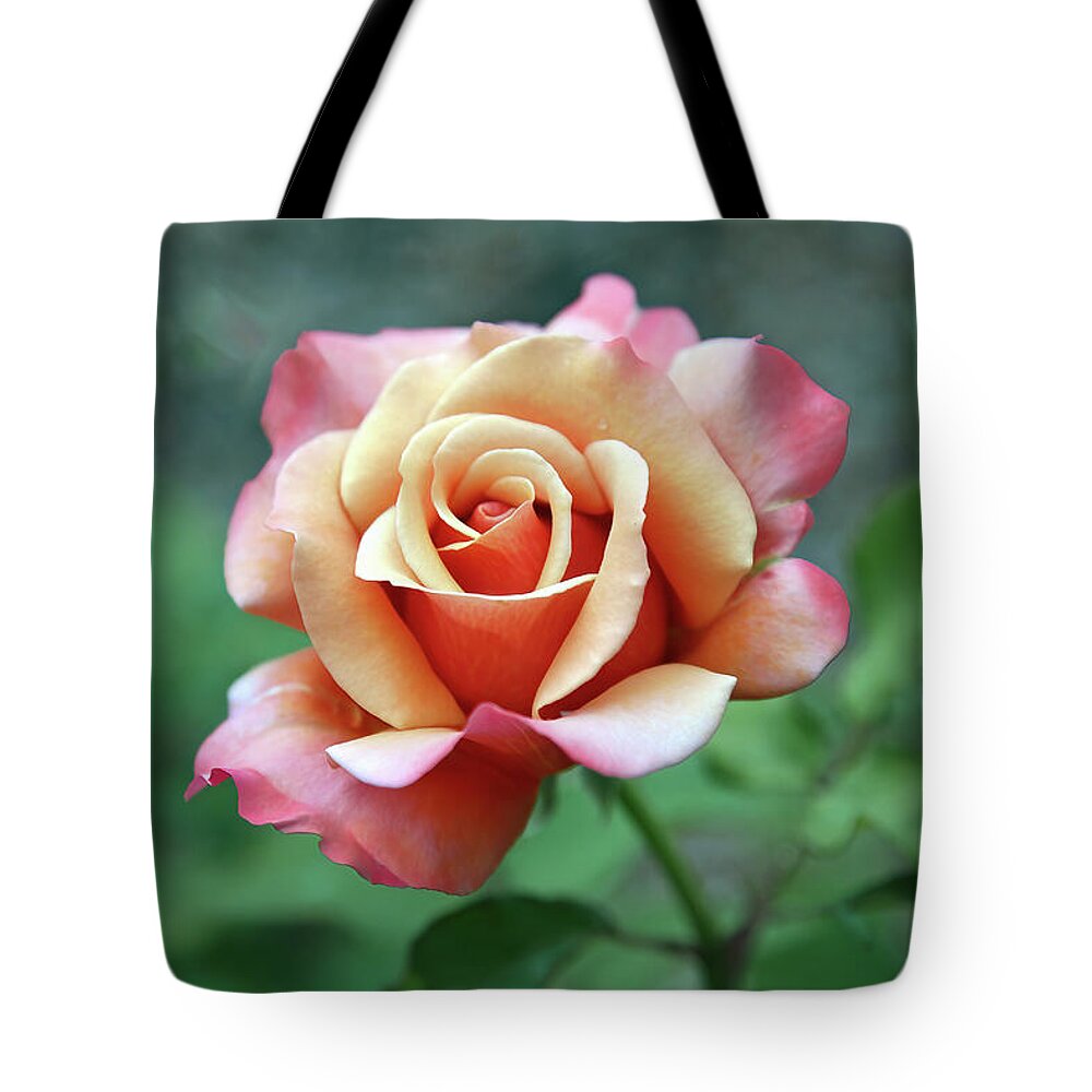 Rose Tote Bag featuring the photograph True Beauty by Gina Fitzhugh