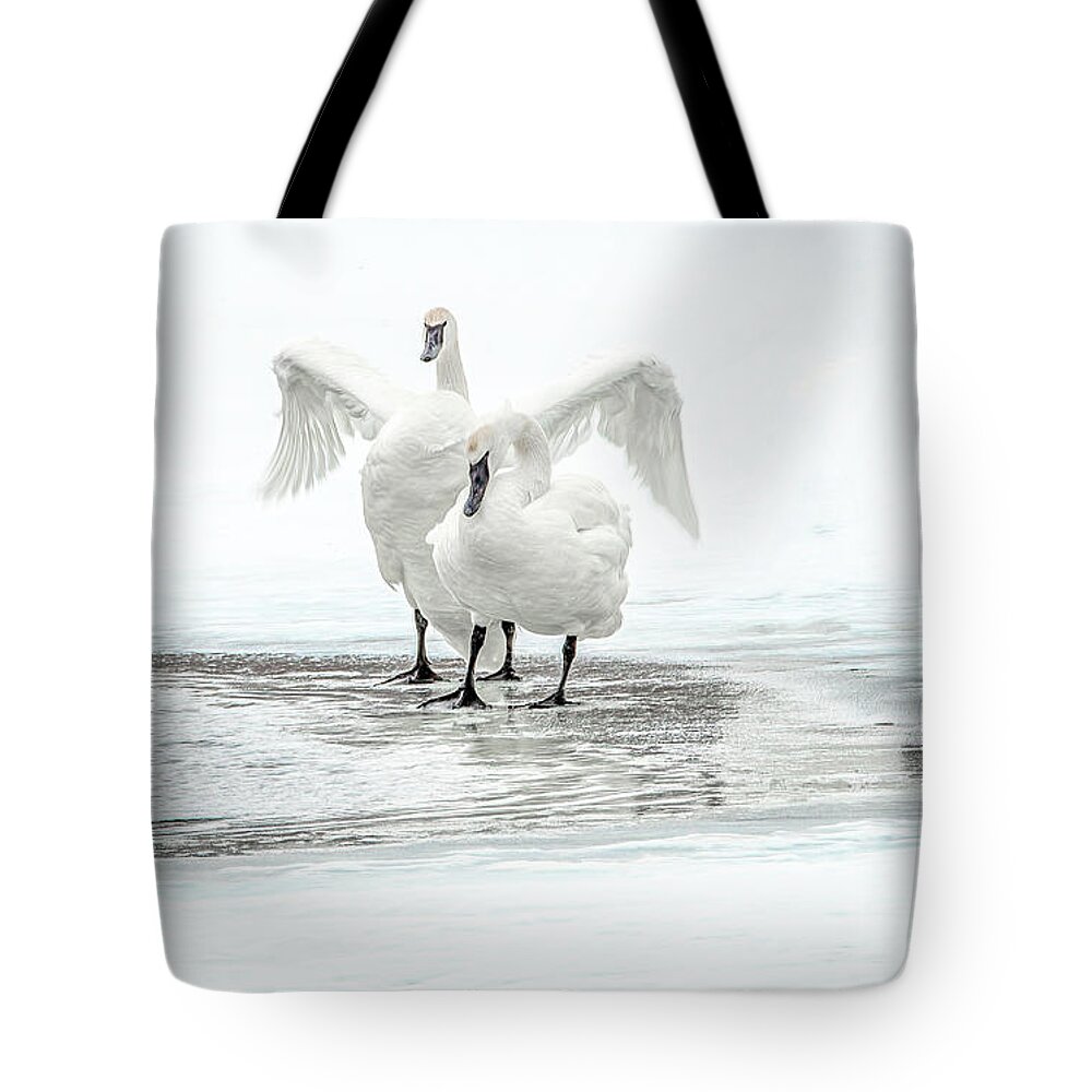 Wyoming Tote Bag featuring the photograph Trumpeter Swans, Natural Elegance and Grace by Marcy Wielfaert
