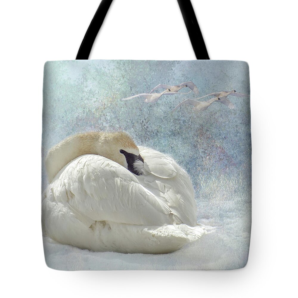 Swan Tote Bag featuring the photograph Trumpeter Textures #1 - Swan Feather by Patti Deters