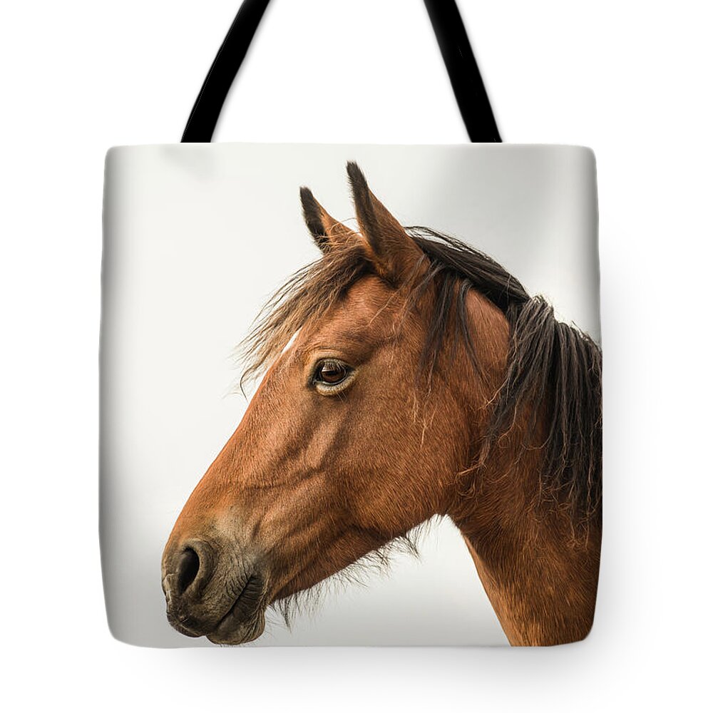 Horse Tote Bag featuring the photograph Tucker - Horse Art by Lisa Saint