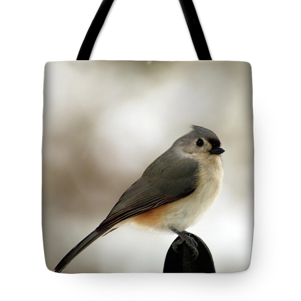 Tufted Tit Mouse Tote Bag featuring the photograph Tufted Tit Mouse by Laurie Lago Rispoli
