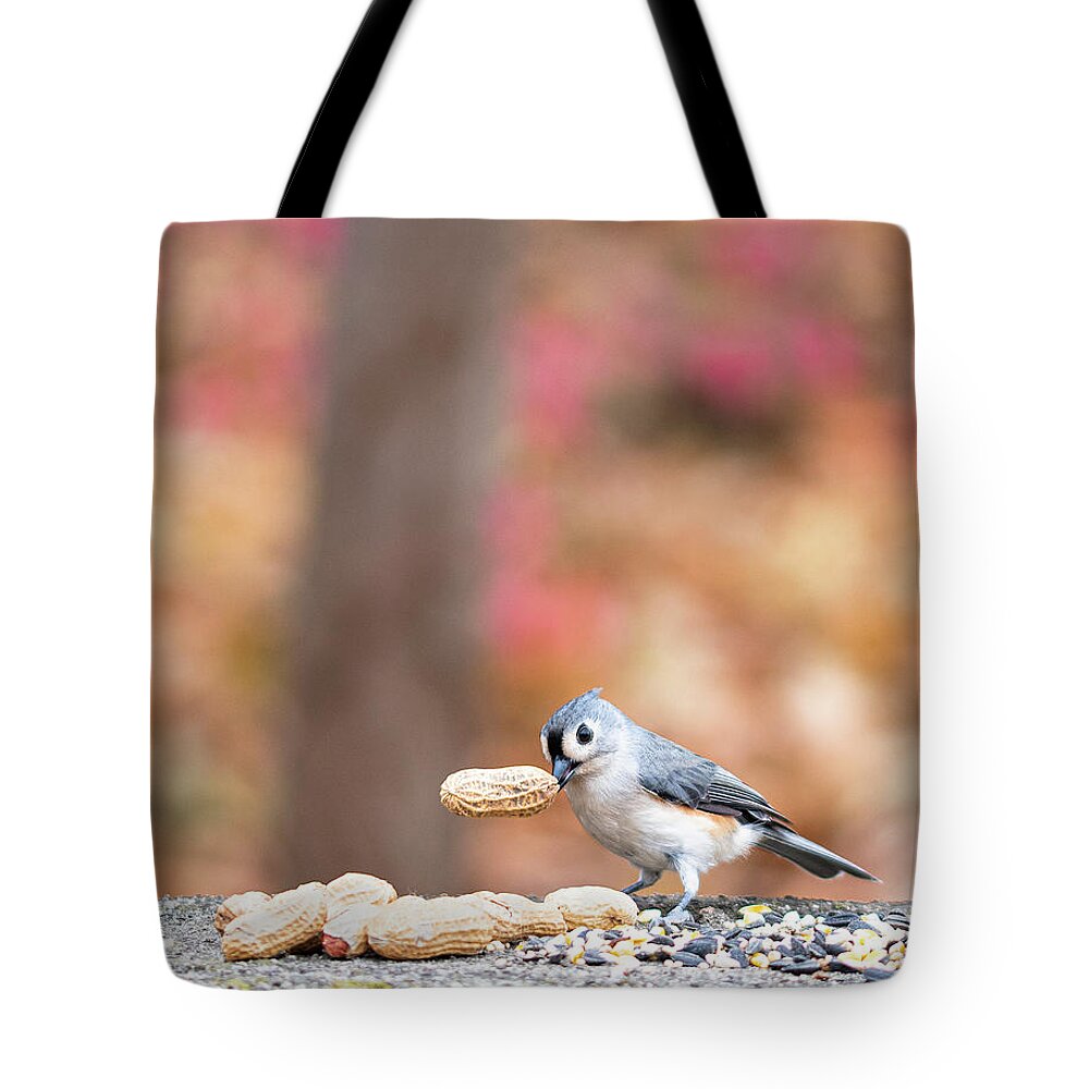 Little Gray Bird Tote Bag featuring the photograph Tufted Titmouse with Peanut Cropped by Ilene Hoffman