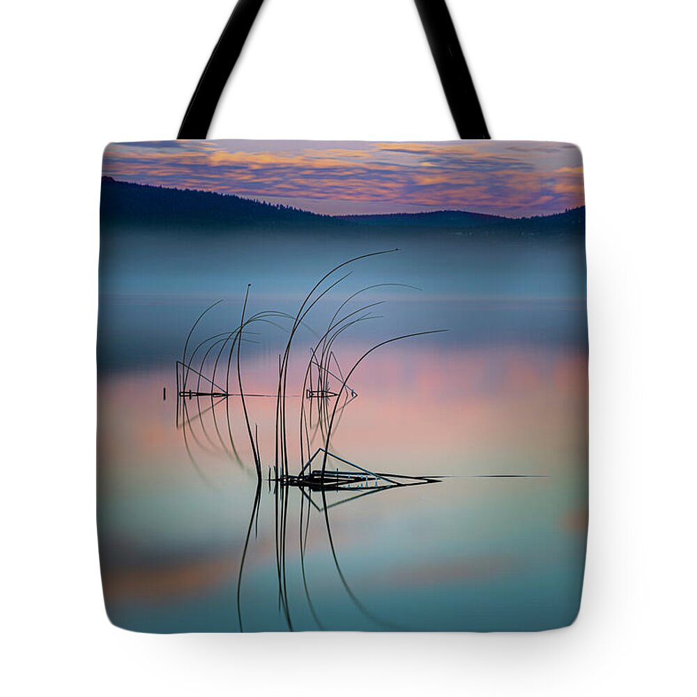 Tule Tote Bag featuring the photograph Tule Reflections by Mike Lee