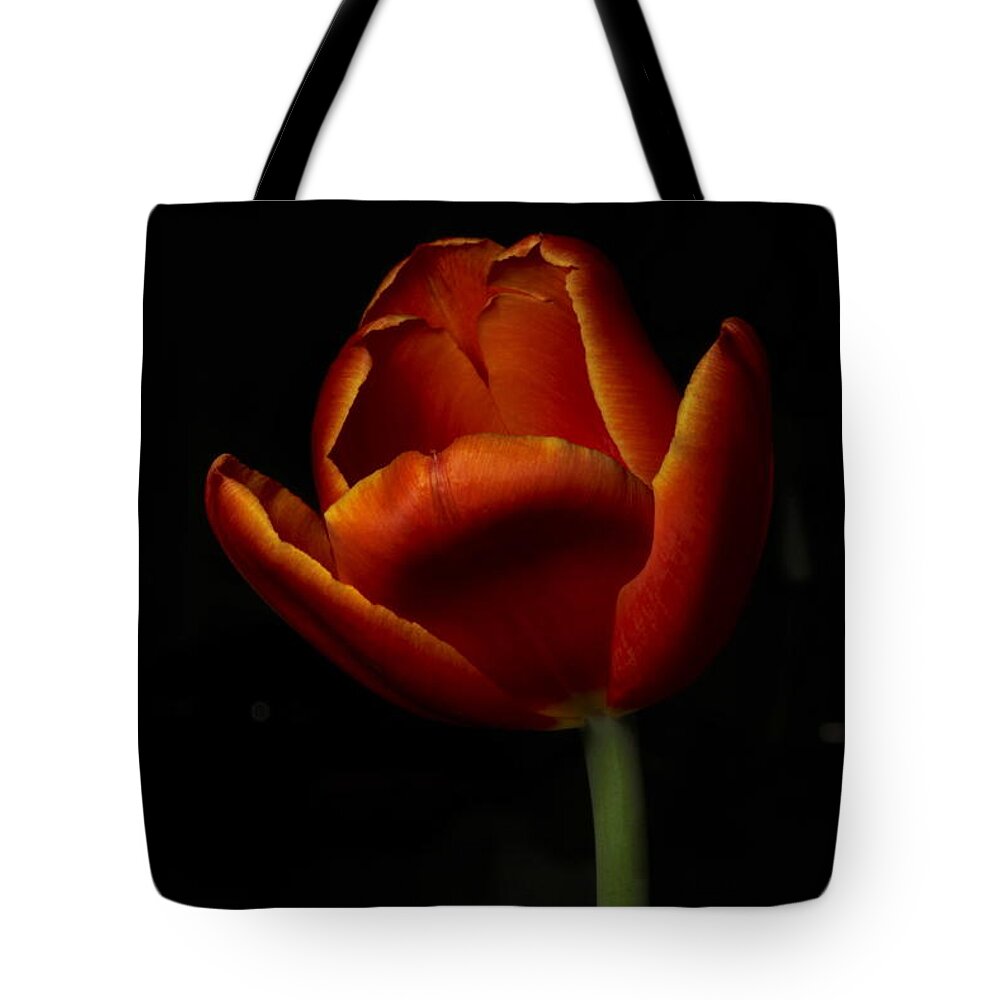 Botanical Tote Bag featuring the photograph Tulip 8063 by Julie Powell